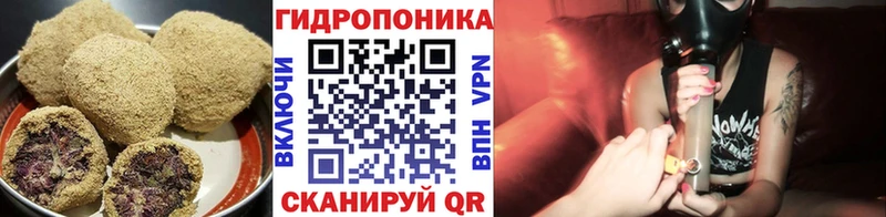 Купить закладки Шебекино Cannafood конопля