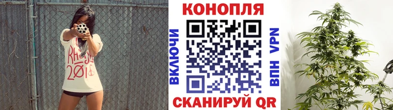 Купить закладки Шебекино Конопля THC 21%